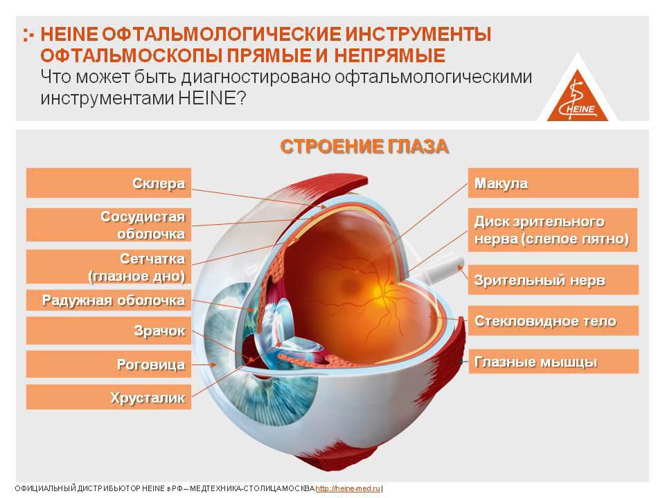 Что может быть диагностировано офтальмологическими  инструментами HEINE?